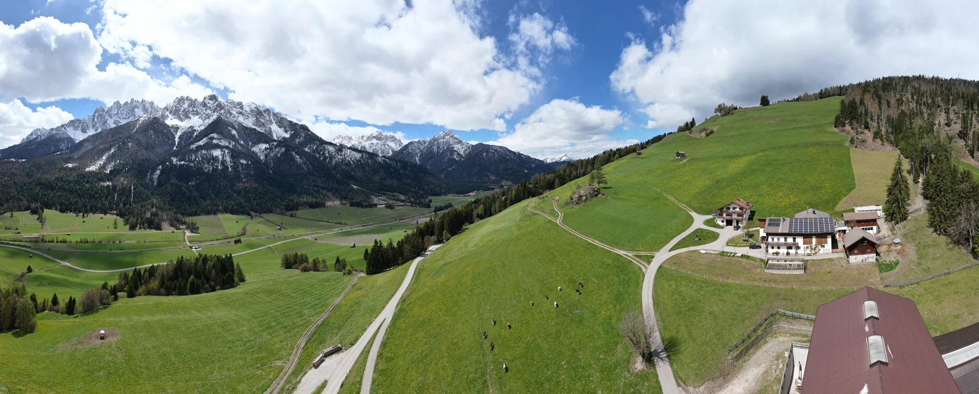 Mitterfeichterhof inmitten grüner Wiesen mit Blick auf das Haunoldmassiv